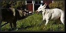 84 Hoest-Herbst-Autumn 07 * 3867 x 1920 * (4.71MB)